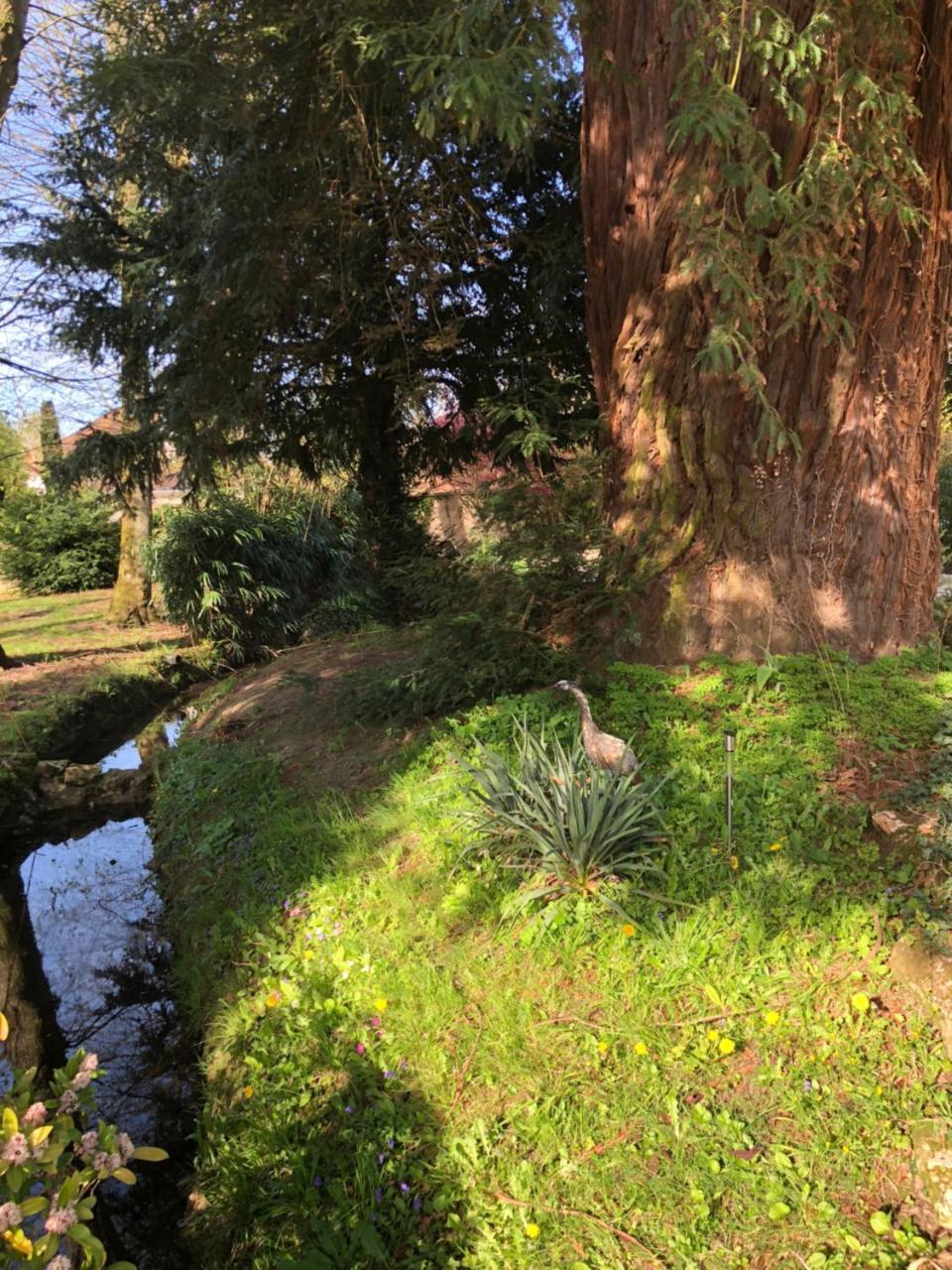 La villa rochette Forges-les-Bains Esterno foto