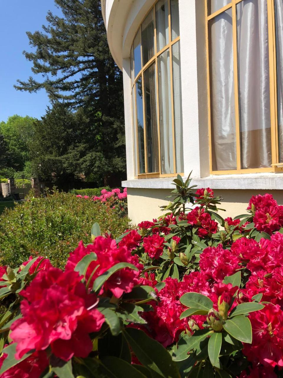 La villa rochette Forges-les-Bains Esterno foto