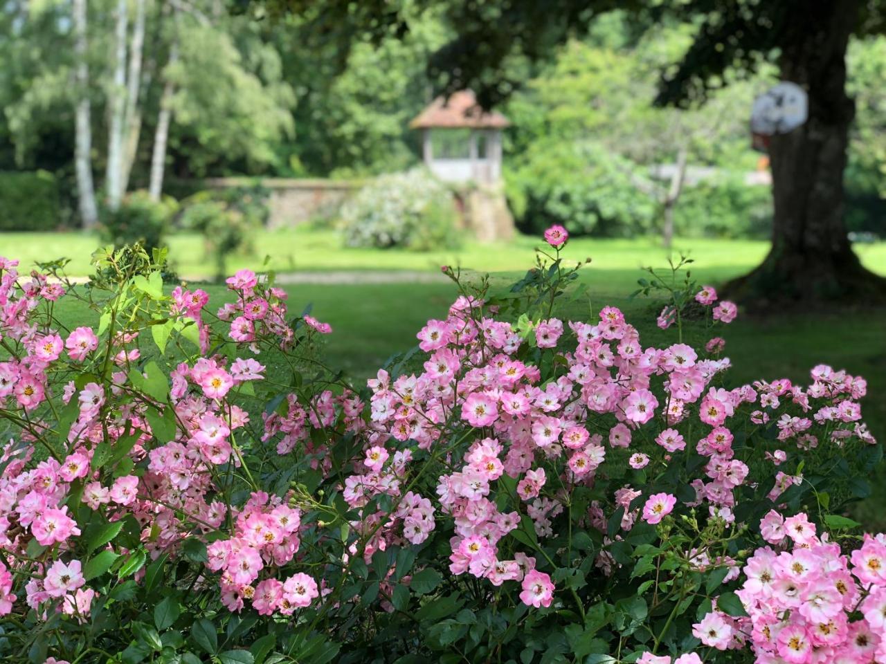 La villa rochette Forges-les-Bains Esterno foto